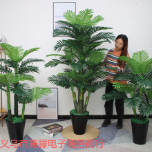 ¿ɢβԻ͏d[٘ӼbϿGֲ辰