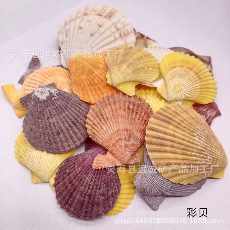 IMG_20210903_150936_副本