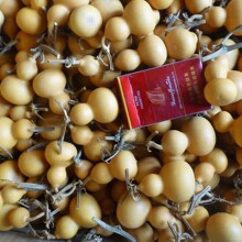 Ұ����Ȼ��������С���J�Π�����F��������[��������J�]��覴�