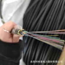 ADSS| 35kvԳʽ|PEo24о 110kv48о100200300n