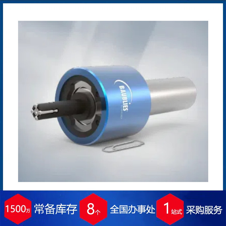 供应德国Baublies滚光针B.12-63-04-50