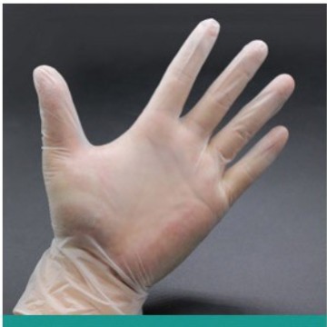 Disposable Pvc Kitchen Gloves Food Safe And Powder Free_voghion.com