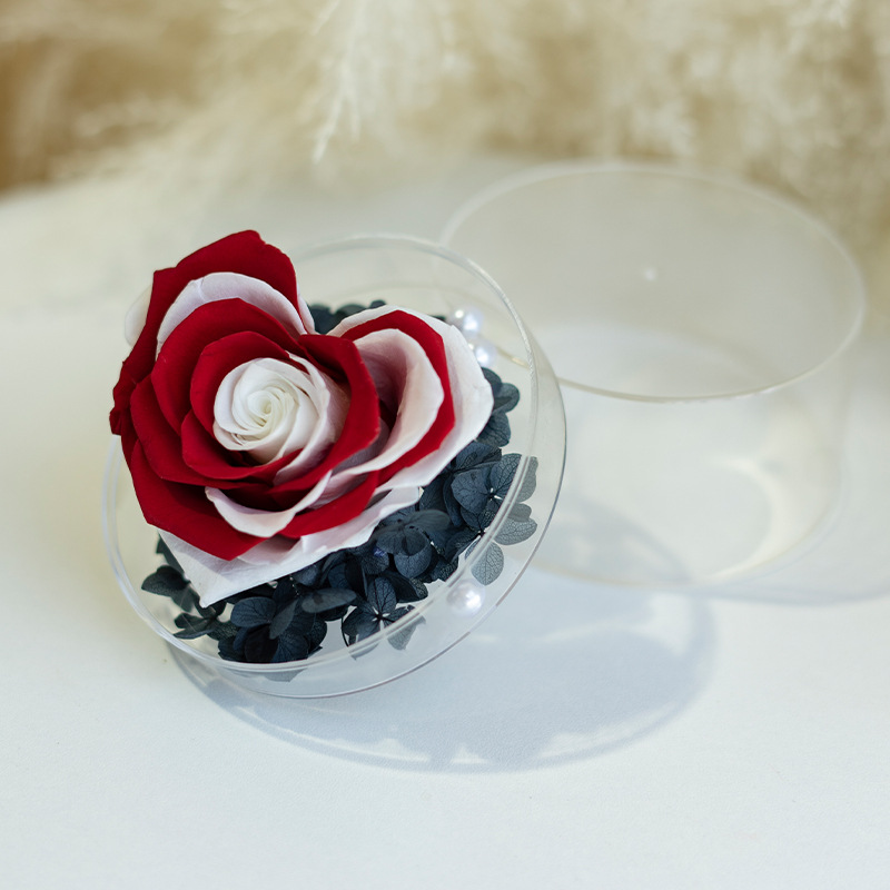 Caja de flores redonda acrílica con rosa eterna, regalo de alta gama para el Día de San Valentín, venta al por mayor de fábrica para comercio exterior de Amazon.