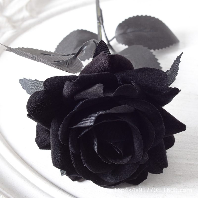 Rosa Aisha todo negro