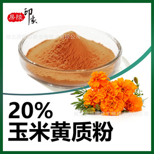 �����S�|��5%-20%�f�۾���ȡԭ����ɫ�� Zeaxanthin�����S�|��