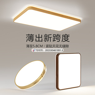Cross-border 110V ceiling lamp ultra-thin aluminum round room lamp wood grain Macaron bedroom lamp aisle lamp