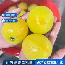 ȫԄӹȥƤC Sҹ^lƬӹˮO