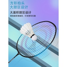 凯胜羽毛球拍正品旗舰店官方专业碳素成人单双拍学生耐打套装
