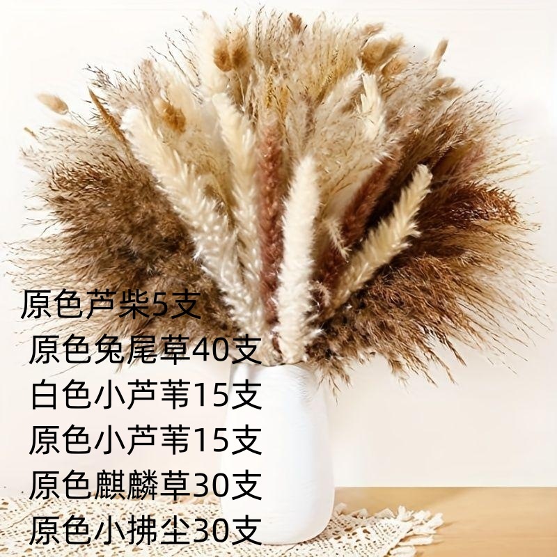 アマゾンはよく売れています。葦の花の花束です。|undefined