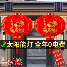 2026�¿�̫���ͥԺ��t���\��������̨���T�ڴ���ֲ�q����̫��