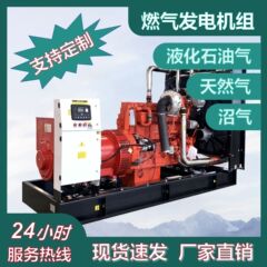 200KW 天然ガス発電機セット廃棄物処理プラントバイオガス発電機セット 200kW ガス発電機