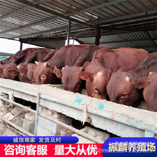 ��ľٝţ��ţ�كr�� �Bֳ���T����ţ ��ţ����һ�^