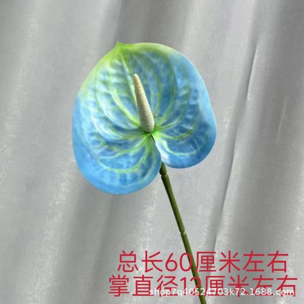 색상 번호 16