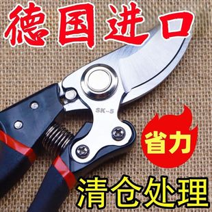 ����ˇ�֦��������ӹ������֦�������û�ľ�����޼���֦
