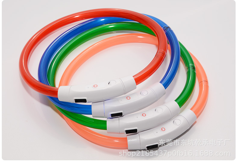 Pet collar glows