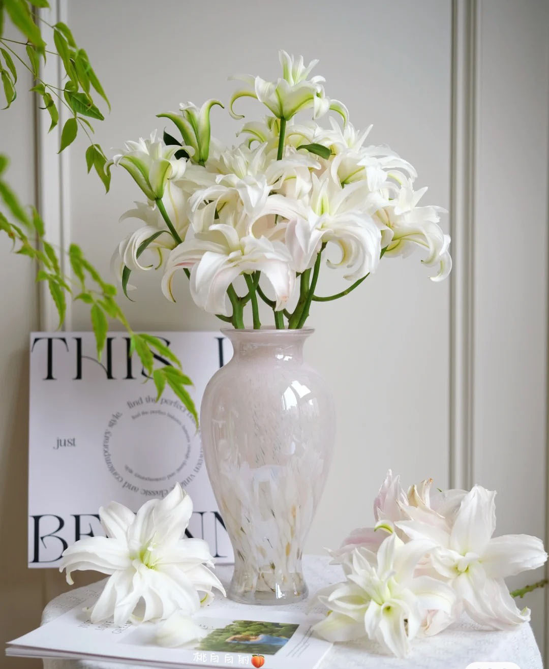 微信图片_20240512124524