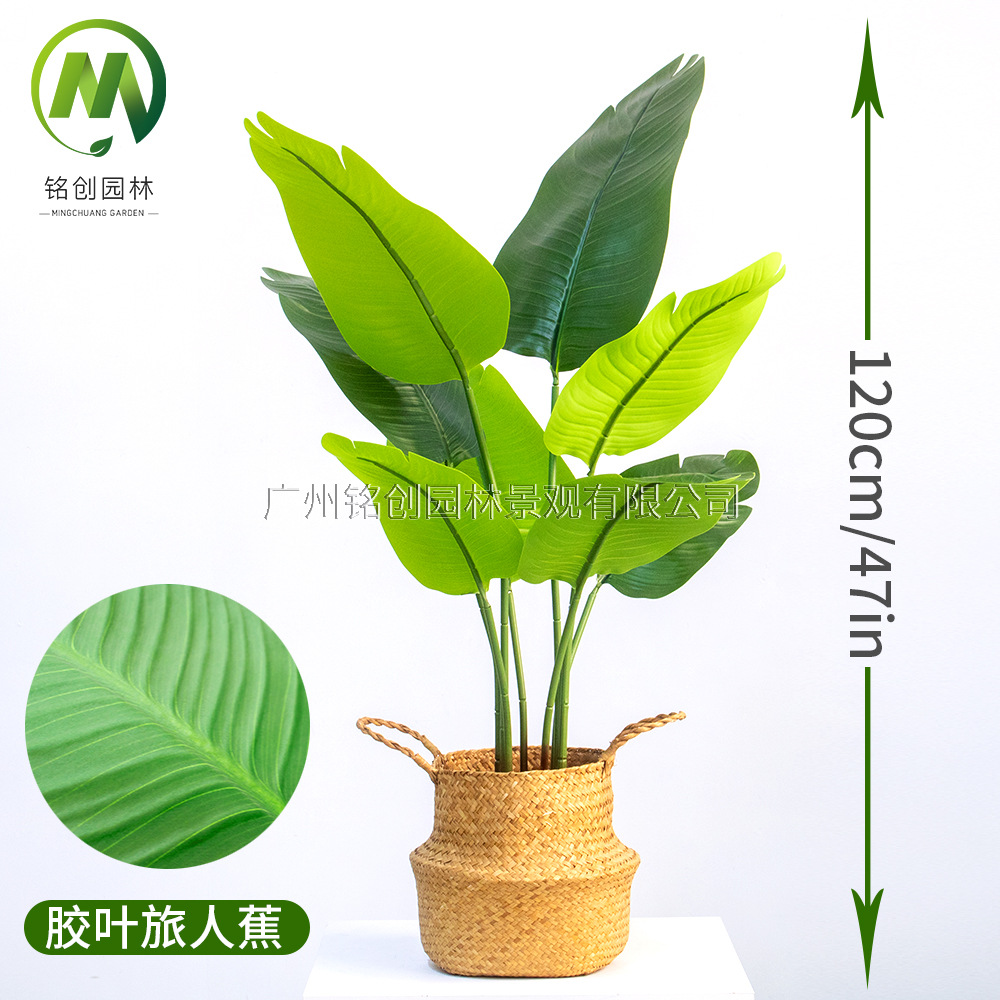Árbol de simulación transfronterizo, plátano viajero, planta en maceta, nueva planta de simulación, pájaro del paraíso, planta verde de simulación de hoja grande, plátano viajero
