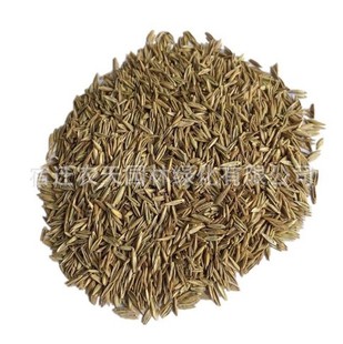 �o�²�ƺ�������N�ӾG�������ļ������éȸ�޺������o�¹����;G