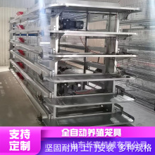 养殖设备层叠式H型蛋鸡笼具 全自动化养鹌鹑设备 养鸽子笼具厂家