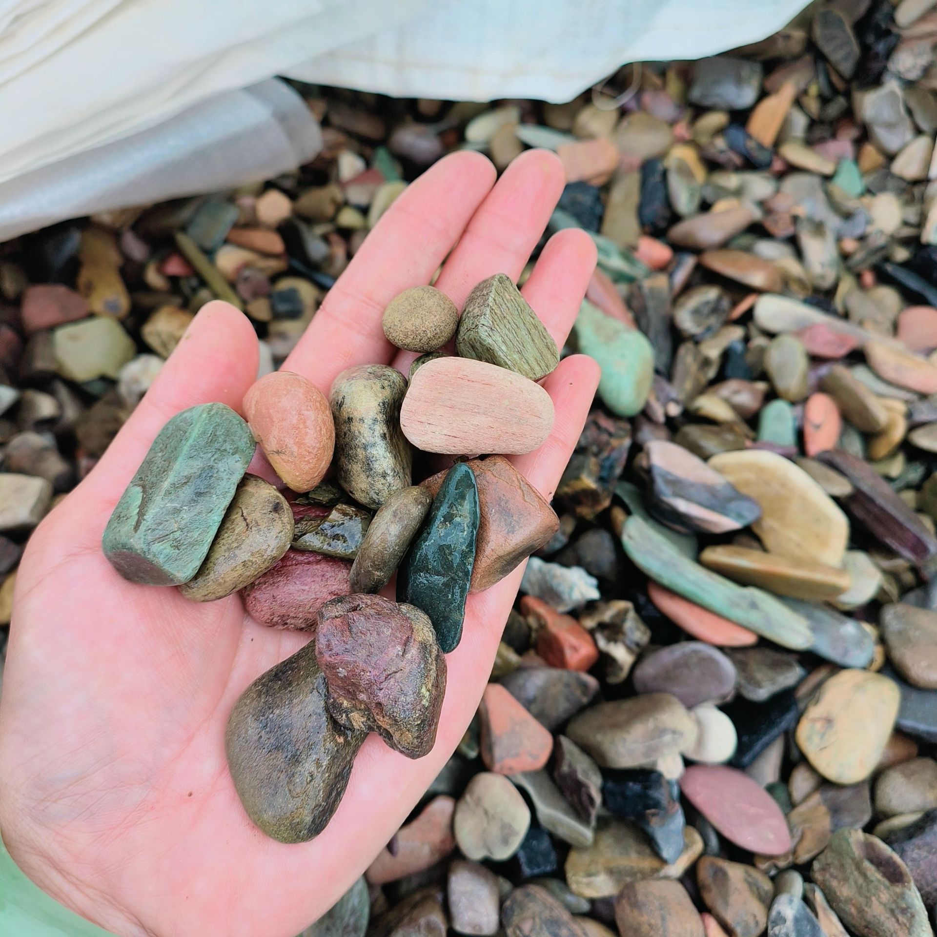 微信图片_20230717155835