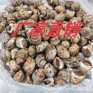 �����Ϸ��ݺ������l ����������ݖ|�L���Lβ�� �����������}�h