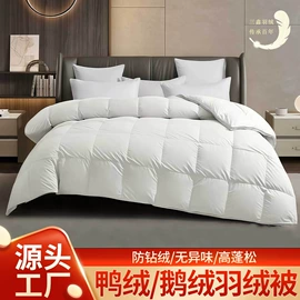 羽毛、羽绒;羽绒被