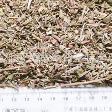 ����t,�e��,���\��,�Ͻ�N,����t,���l��ș������t