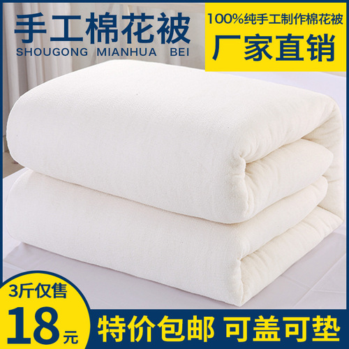 Wholesale cotton quilt single double student dormitory mattress cotton quilt core spring autumn winter quilt 10 pounds thickened