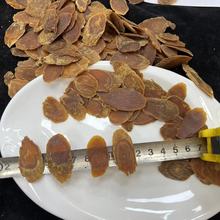 �t��Ƭ�|��������5�����̖��Ƭ1.6Ҏ���Ҝ���Ů�����ϟ������a