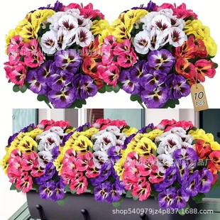 �羳������滨��ɫ�����컨����Ҿ��b�ˇ���l�Gֲ����