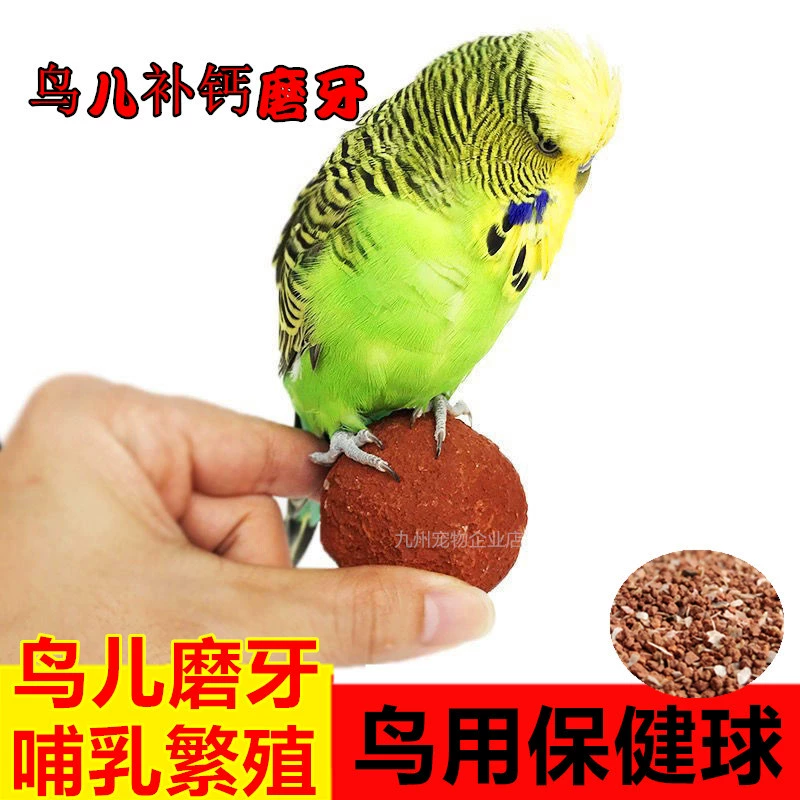 Попугай Health Ball Кальций Молярная очистка Репродукция кишечника Кишечное Грудное вскармливание Тигровая кожа пион корм для птиц