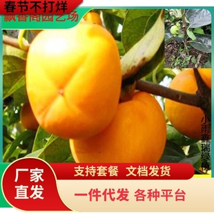 һ�����l���������Ә�����S��ĥ�P�����Ӽ޽ӹ���ͥԺ�����Ϸ���