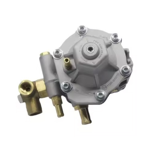 Lpg/Cng Car Oil to Gas Conversion High-Quality At12 Thoma Medium Pressure Reducer Gas Car Accessories