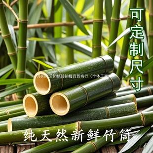 ���r������������Ͳ�������ֹ���ˇ�b��׃��@��c���τ���؈