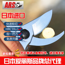 日本ars130DX爱丽斯修枝剪刀园艺剪修剪树枝果树盆景剪刀花艺仅涂