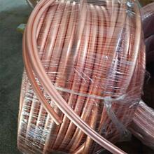 TI/T2���~ë���ܿ��{�~�� 1.2 1.5 1.8 2.0 2.5 3 ����P�r��