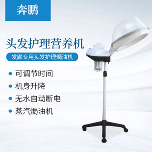 Kang Hongwu King Cold and Hot Double Spray Face Steam Instrument Nano Water Replenishing Sprayer Face Face Steam Instrument for Face Beauty Salon