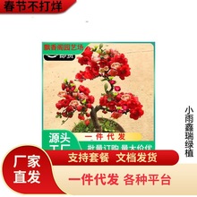 һlĻԘϘļ_ֲ҃ȻͥԺ̨FG