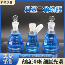 玻璃具塞三角烧瓶 实验室仪器容量瓶 带刻度耐高温烧瓶烧杯