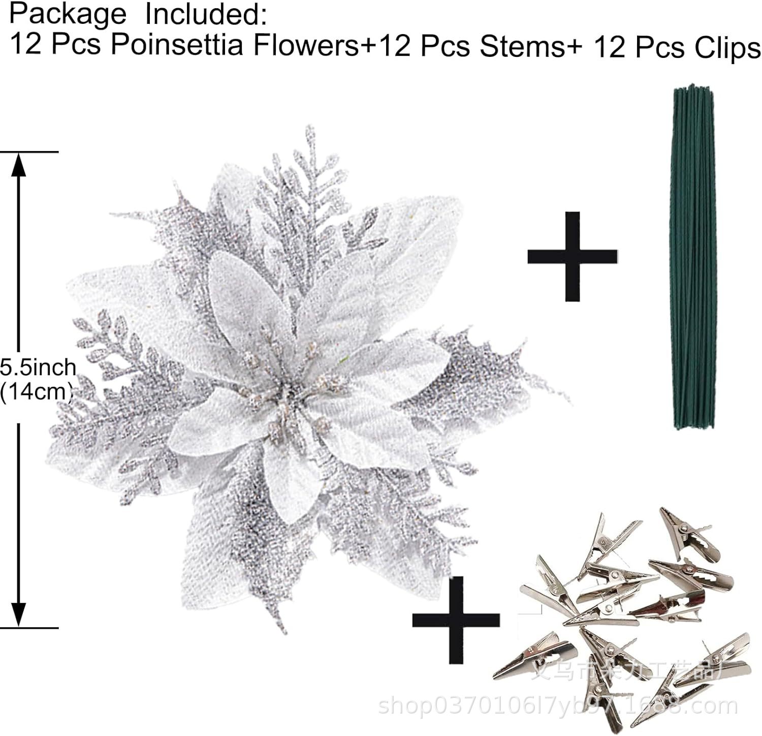 Silver 12/pcs