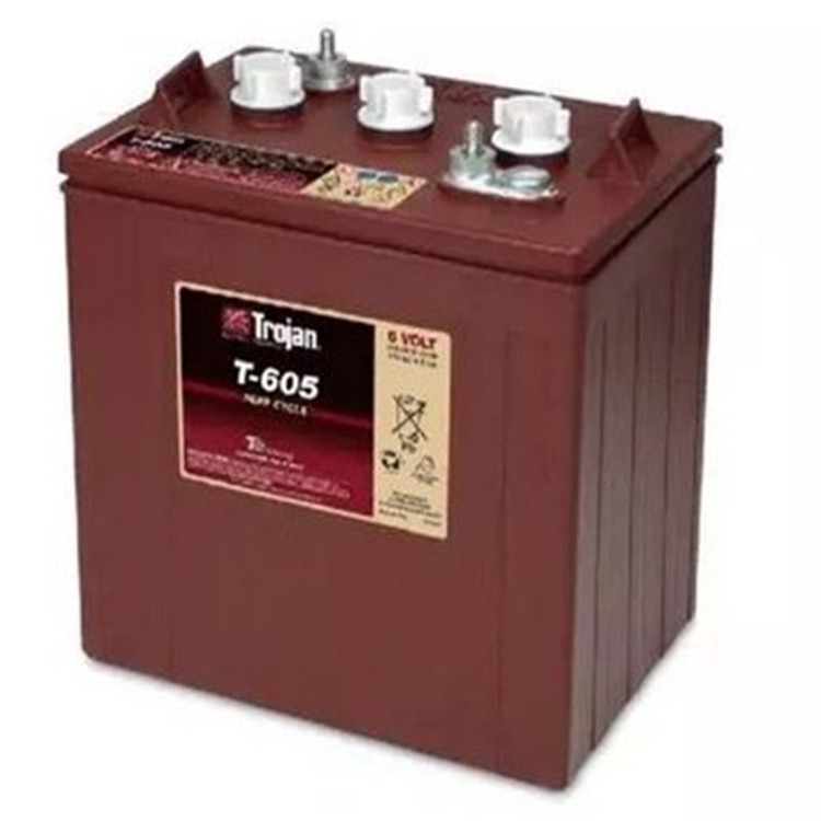 Trojan邱健蓄电池T-605邱健蓄电池6V210AH观光车 升降机启动电瓶