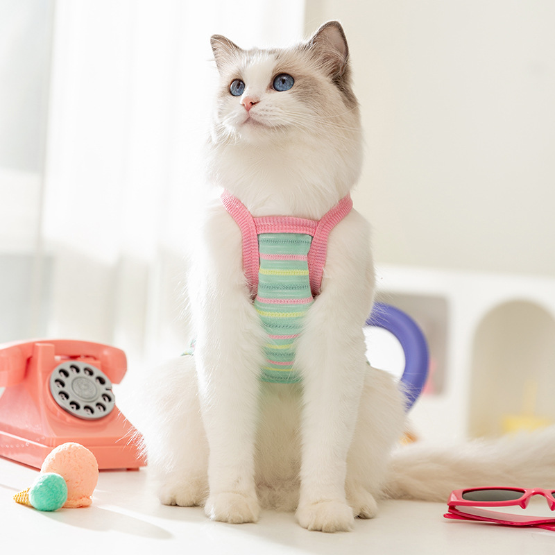 Colisionamiento de perro de verano, bolsillo de cachorro lindo, tirantes a rayas de color, tirantes de gato, ropa de peluche para mascotas de dos patas