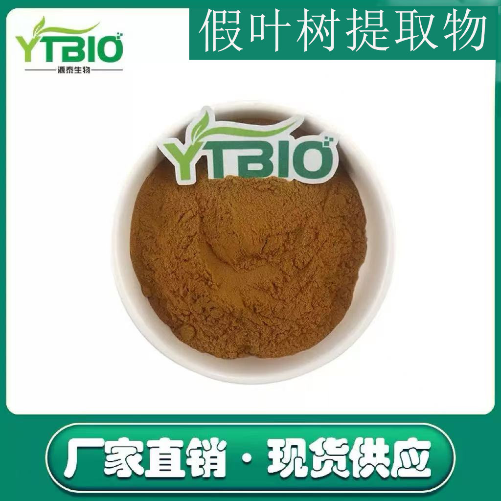 假叶树提取物 水溶假叶树粉 10:1多规格 假叶树浓缩粉 量大从优