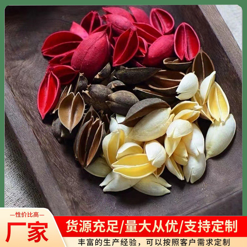 Coque de phénix, coquille de paulownia, cœur de chrysanthème à cœur noir, coque de plantes naturelles, matériau de fleurs séchées, fabrication créative à la main