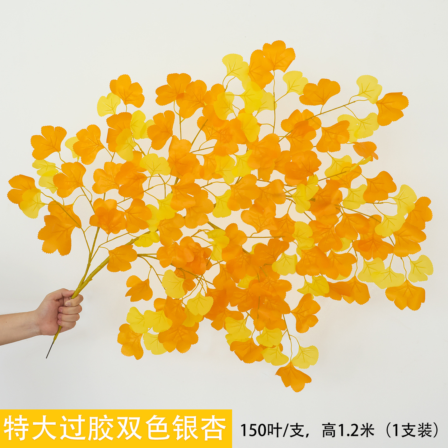 Cành bạch quả hai màu lớn, hình kẹo dẻo.