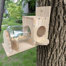 Squirrel Feeder ľιʳ͸ƿιʳ@ιʳ