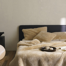 2024秋冬新款卡达尔羊毛绒休闲毯北欧轻奢纯色云肤绒盖毯双层加厚
