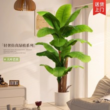 大型仿真植物盆栽客厅摆件落地绿植大叶子芭蕉树室内造景假树假花