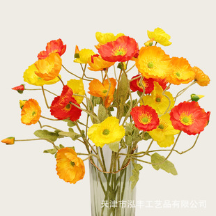 ���������˻���c�b�Y�ٻ������ҾӔ[���zӰ����ֲ�q��������