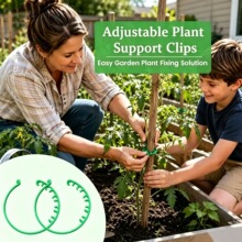 �羳�¿�Adjustable Plant Fixing Buckle���{��ֲ��̶�����
